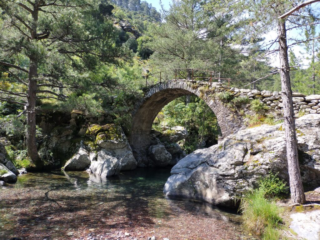 Pont génois sur la Tartagine