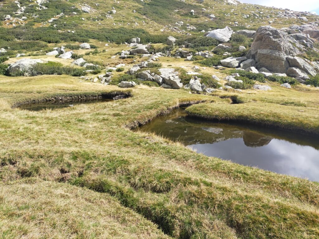 Les Pozzi du plateau d'Ese