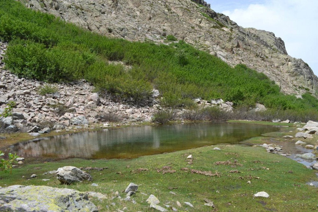 Le lac San Ciprianu