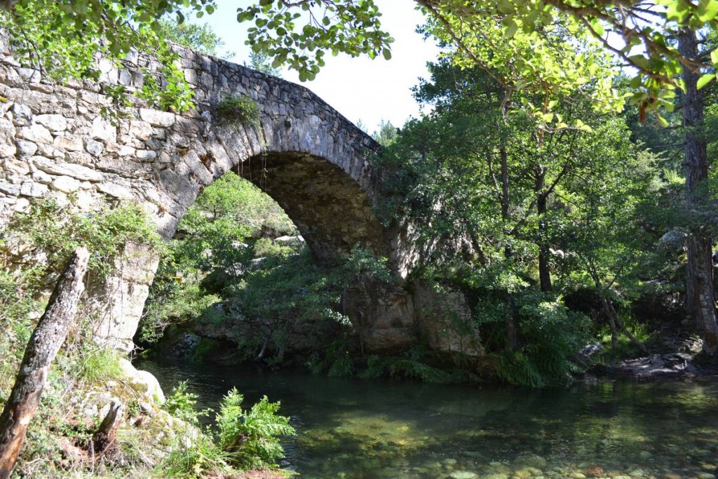 Le pont de Muricciolu à Albertacce