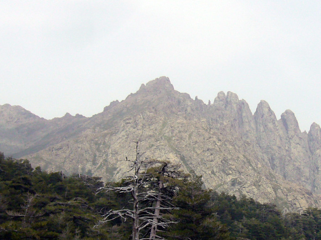 Monte Albanu - Face Ouest