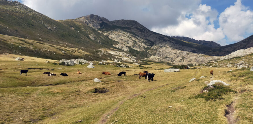 Pozzi du plateau d'Ese