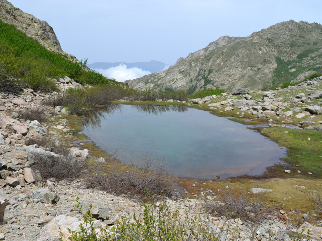 Lac de San Ciprianu